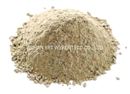 Hot Selling Unshaped Refractory Materials for Ladle &amp; Converter &amp; Eaf